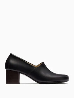 Lemaire Anatomic Pumps